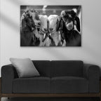 Black And White Baby Goats Canvas Wall Art