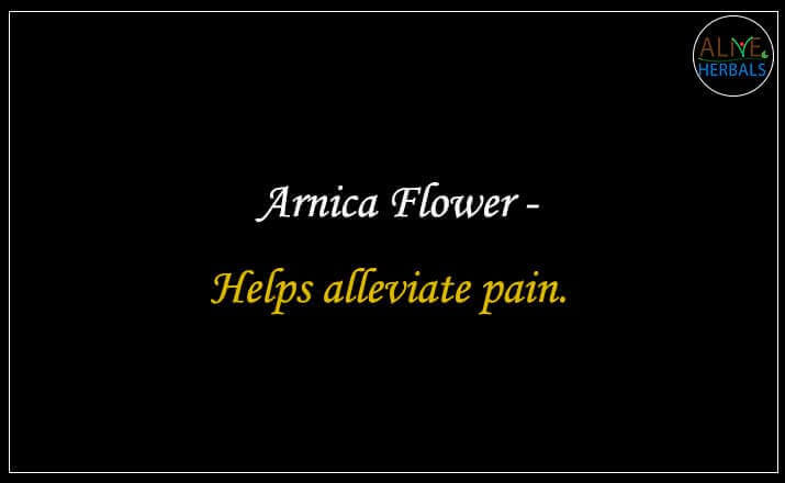 Arnica Flower