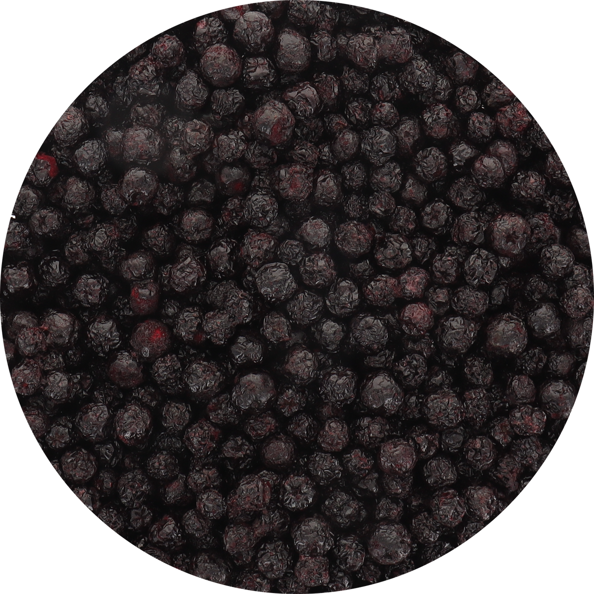 Freeze Dried Organic Aronia Berries