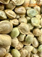 Ripkitty International & Domestic Raw Viable Hemp Seeds for Poultry, Equine Feeding, & Livestock