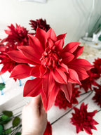 Large Red Dahlia