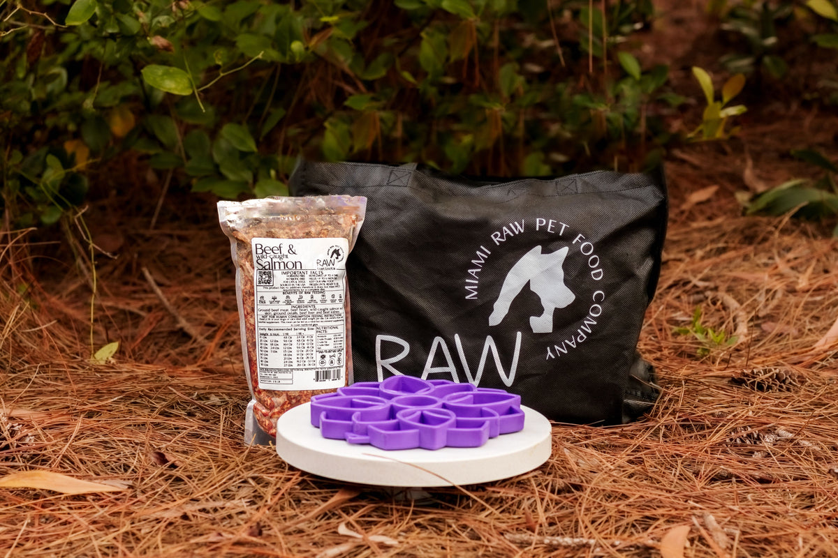 Raw Beef & Wild-Caught Salmon + Veggies w Fruit Meal Blend for Cats & Dogs — Prey Model Raw | Raw Instincts Florida