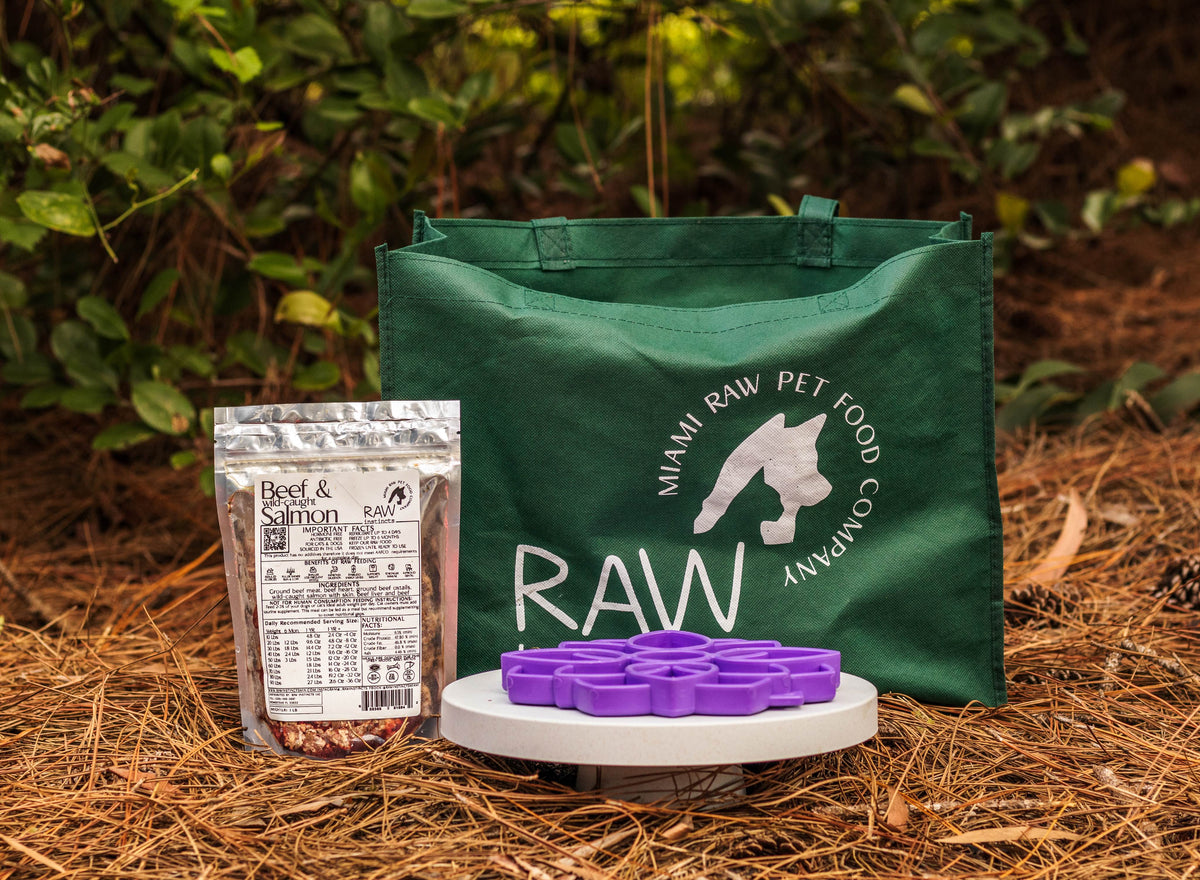 Raw Beef & Wild-Caught Salmon + Veggies w Fruit Meal Blend for Cats & Dogs — Prey Model Raw | Raw Instincts Florida