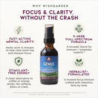 Genius Juice, Cognitive Aid