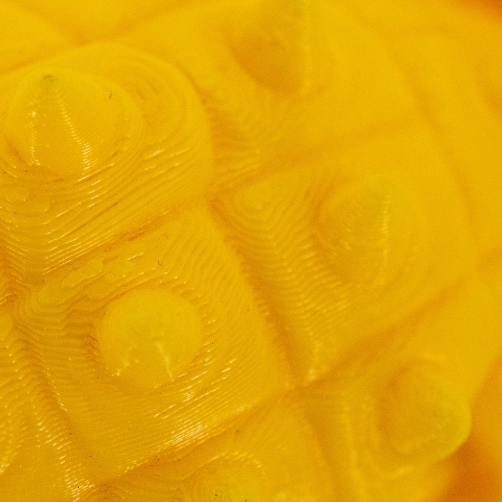 3D Printed Ankylosaurus Dinosaur Fidget | Mutliple Colors | Black Sheep Products LLC