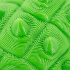 3D Printed Ankylosaurus Dinosaur Fidget | Mutliple Colors | Black Sheep Products LLC