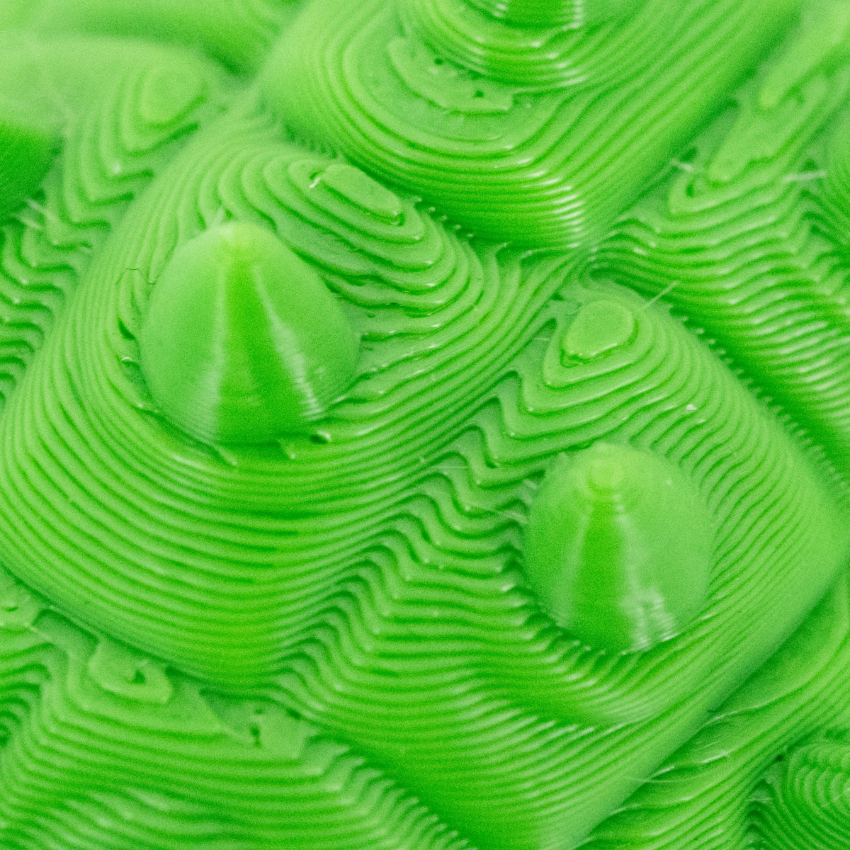 3D Printed Ankylosaurus Dinosaur Fidget | Mutliple Colors | Black Sheep Products LLC