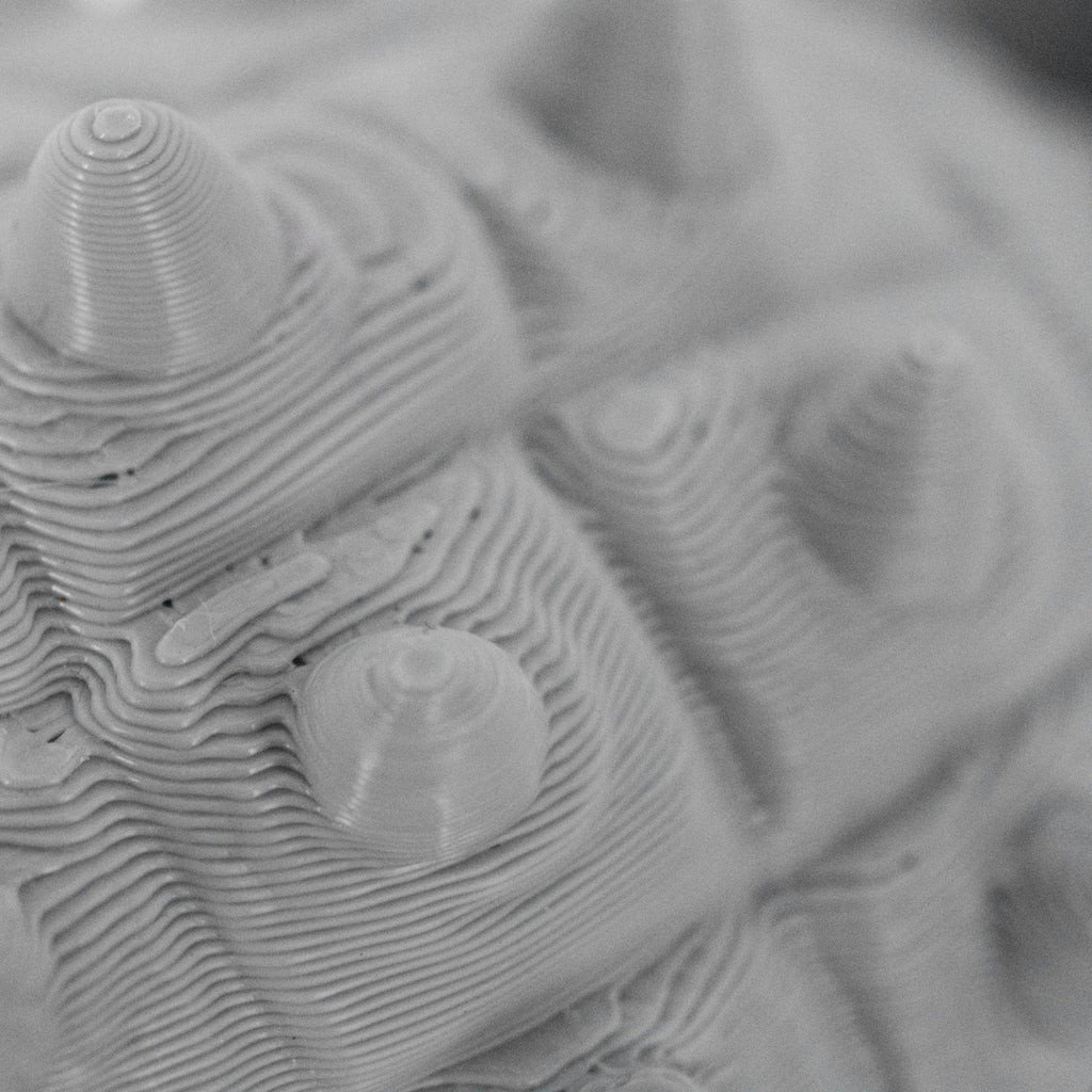 3D Printed Ankylosaurus Dinosaur Fidget | Mutliple Colors | Black Sheep Products LLC