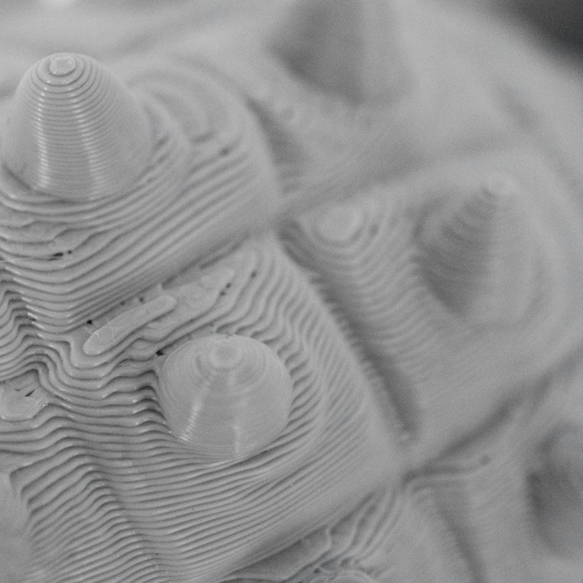 3D Printed Ankylosaurus Dinosaur Fidget | Mutliple Colors | Black Sheep Products LLC