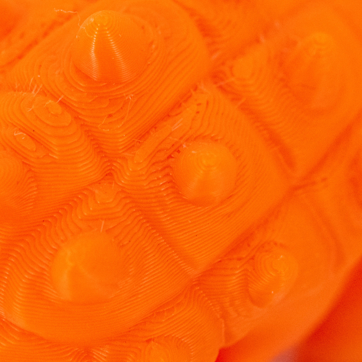 3D Printed Ankylosaurus Dinosaur Fidget | Mutliple Colors | Black Sheep Products LLC