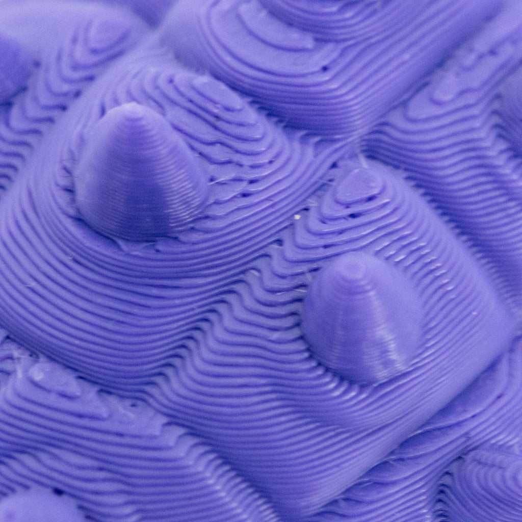 3D Printed Ankylosaurus Dinosaur Fidget | Mutliple Colors | Black Sheep Products LLC