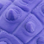 3D Printed Ankylosaurus Dinosaur Fidget | Mutliple Colors | Black Sheep Products LLC