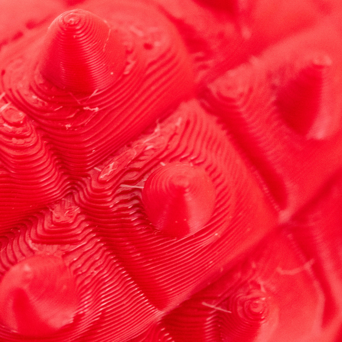 3D Printed Ankylosaurus Dinosaur Fidget | Mutliple Colors | Black Sheep Products LLC