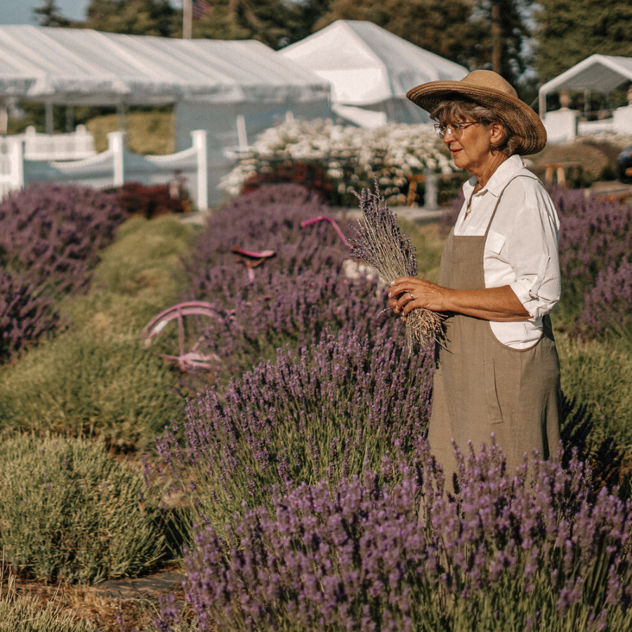 Lavender Body Butter | Multiple Sizes | Our Lavender Co