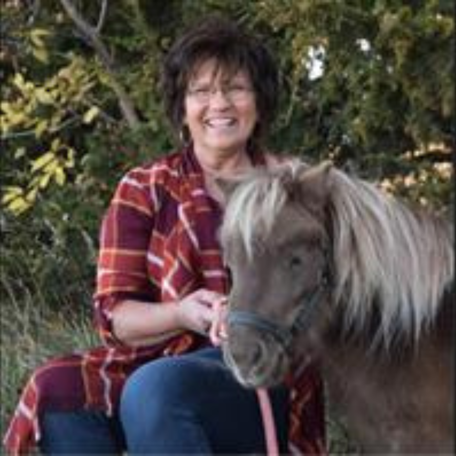 JuneBug Finds Her Forever Home | Paperback Children's Book | 32 Pages  | By Brenda L Johnson