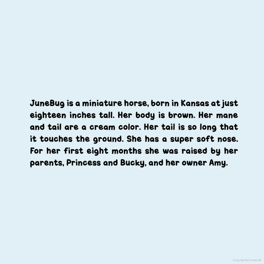 JuneBug Finds Her Forever Home | Paperback Children's Book | 32 Pages  | By Brenda L Johnson