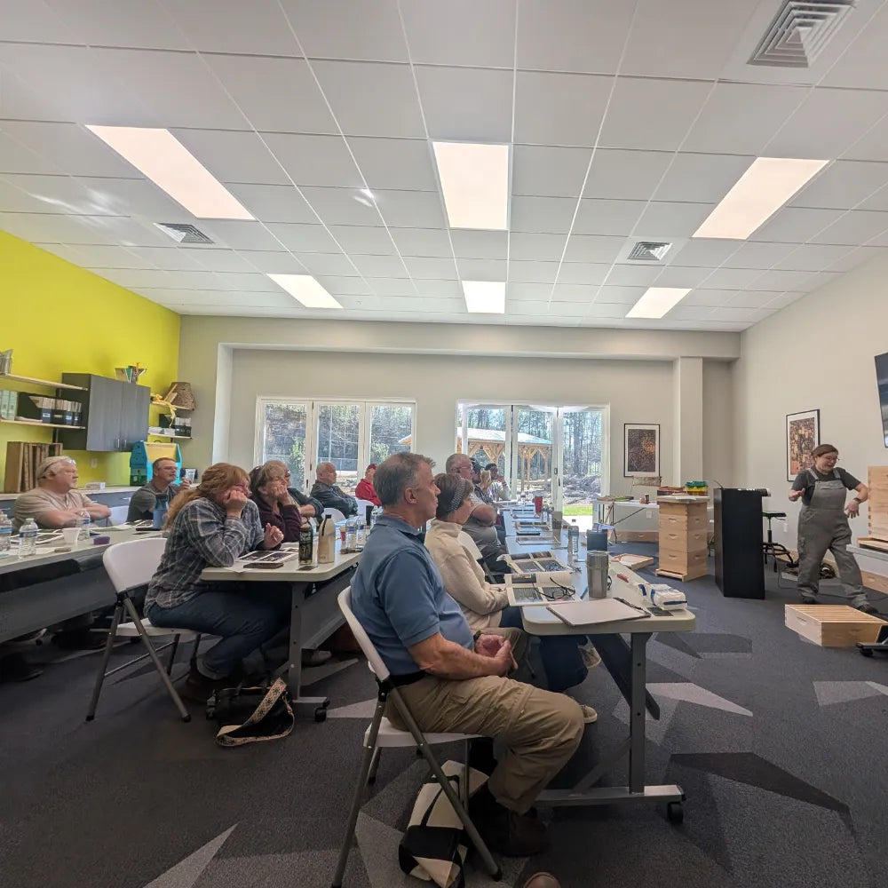 Bee School - One Day Class