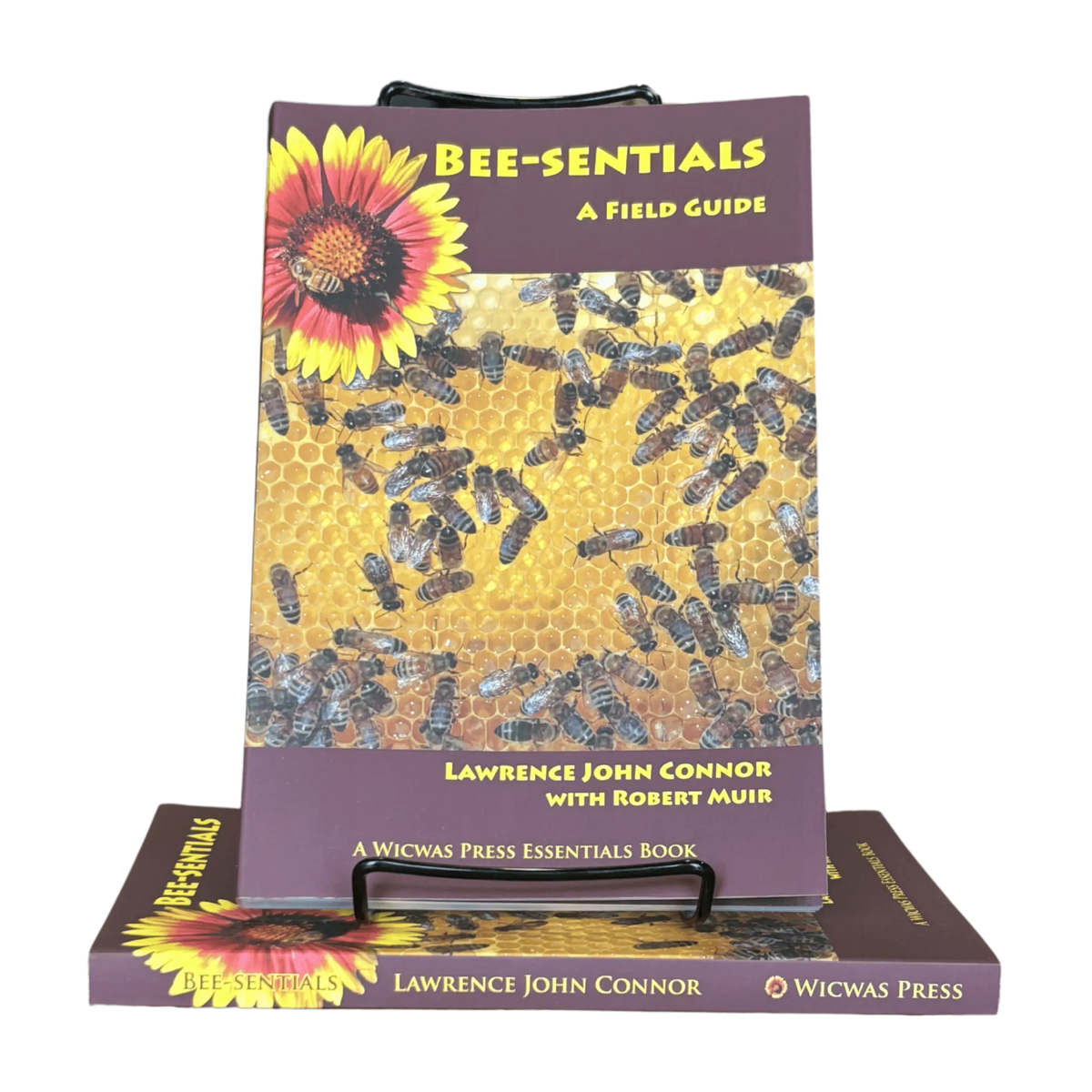 Bee-sentials - Beginner Book