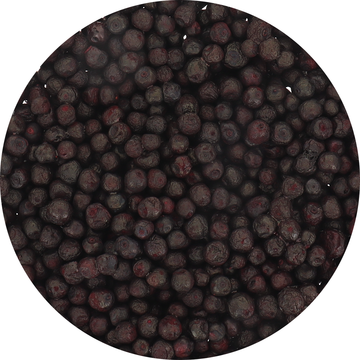 Freeze Dried Wild Bilberries