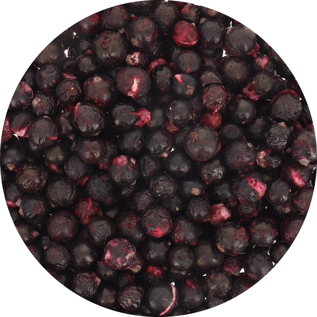 Freeze Dried Organic Black Currant