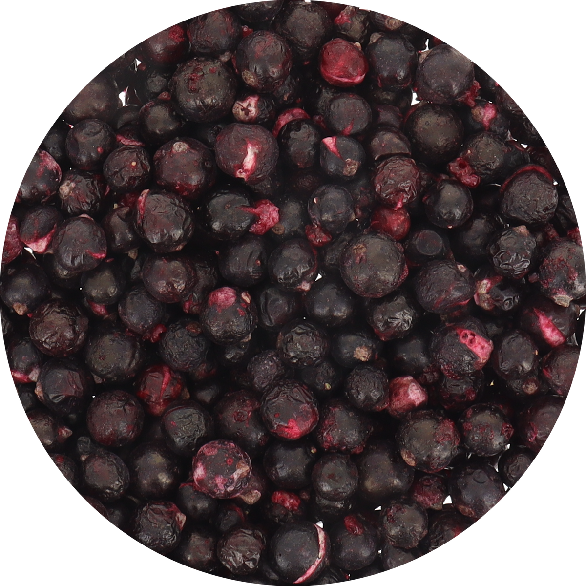 Freeze Dried Organic Black Currant