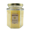 Aspen Winter Scented Candle | Multiple Sizes | Blended Light