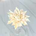 Soft Blush Pink Large Dahlia