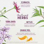 Kick-Ass Allergy & Sinus, Soother