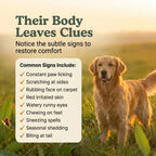 Allergy Support Soft Chews for Dogs | Pack of 3 | 60 Chews - 6.35 oz | LivHerbals, Inc.