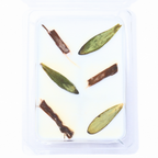 Cedarwood & Tea Tree | Essential Oil | Wax Melts