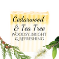 Cedarwood & Tea Tree | Essential Oil | Bar Soap