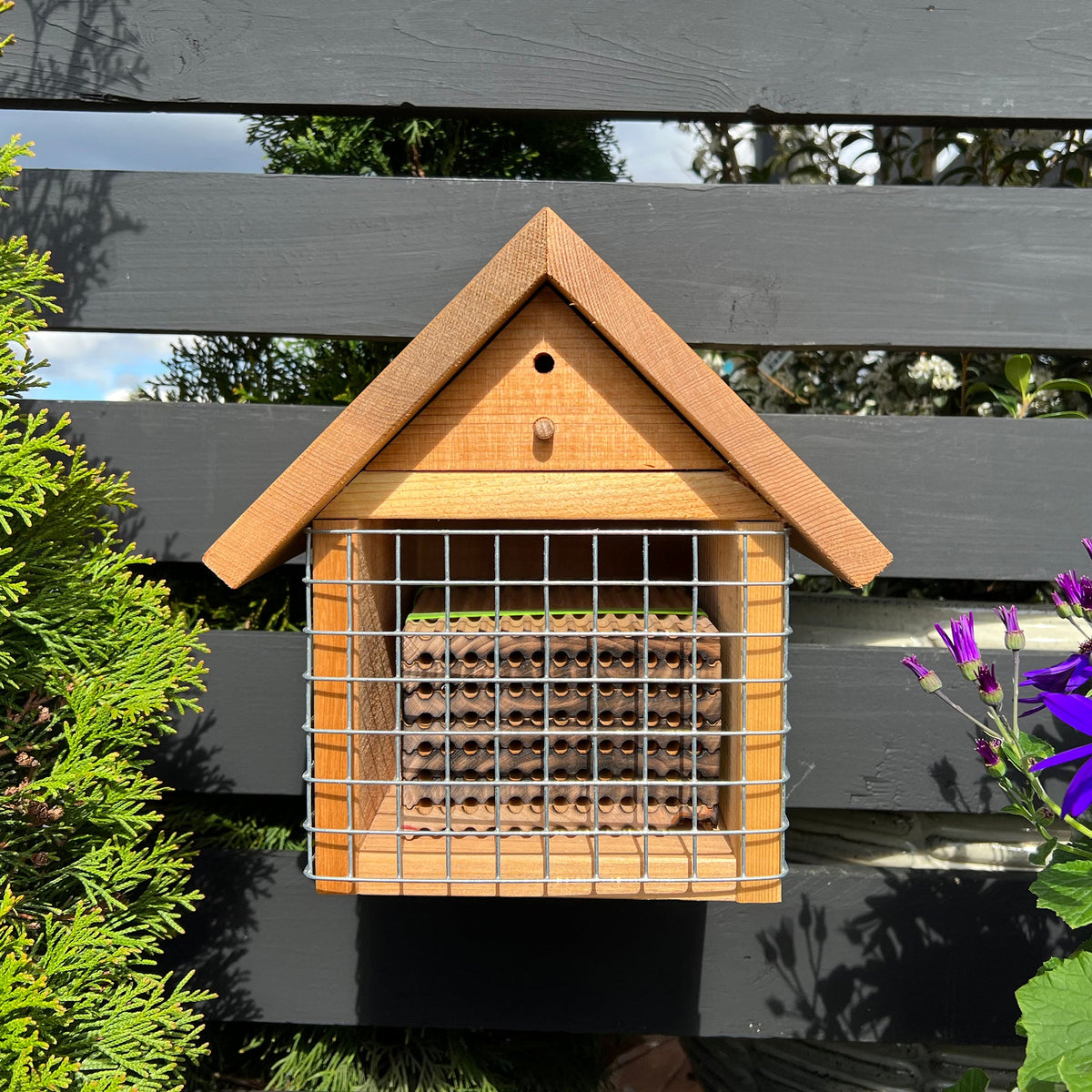 Bird Guards