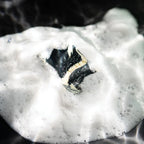 Clarifying Charcoal Soap | 4 oz | Pacha Soap Company