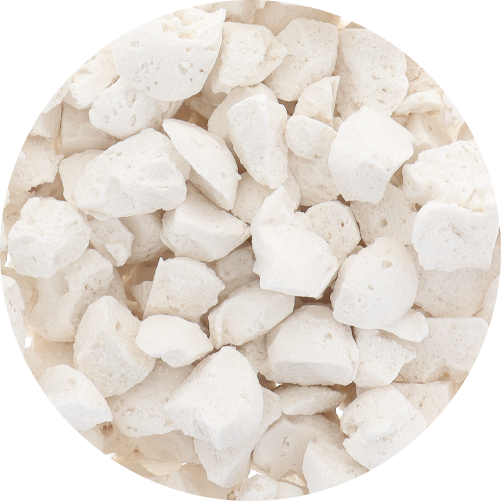 Freeze Dried Sorbet - Organic Coconut
