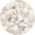 Freeze Dried Sorbet - Organic Coconut
