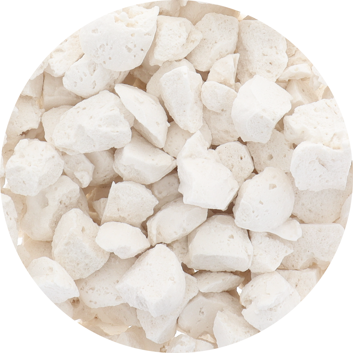Freeze Dried Sorbet - Organic Coconut