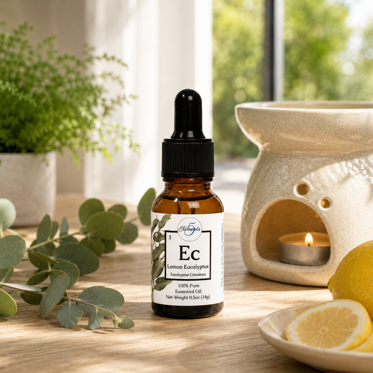 Eucalyptus Lemon | Essential Oil | Eucalyptus citrodora