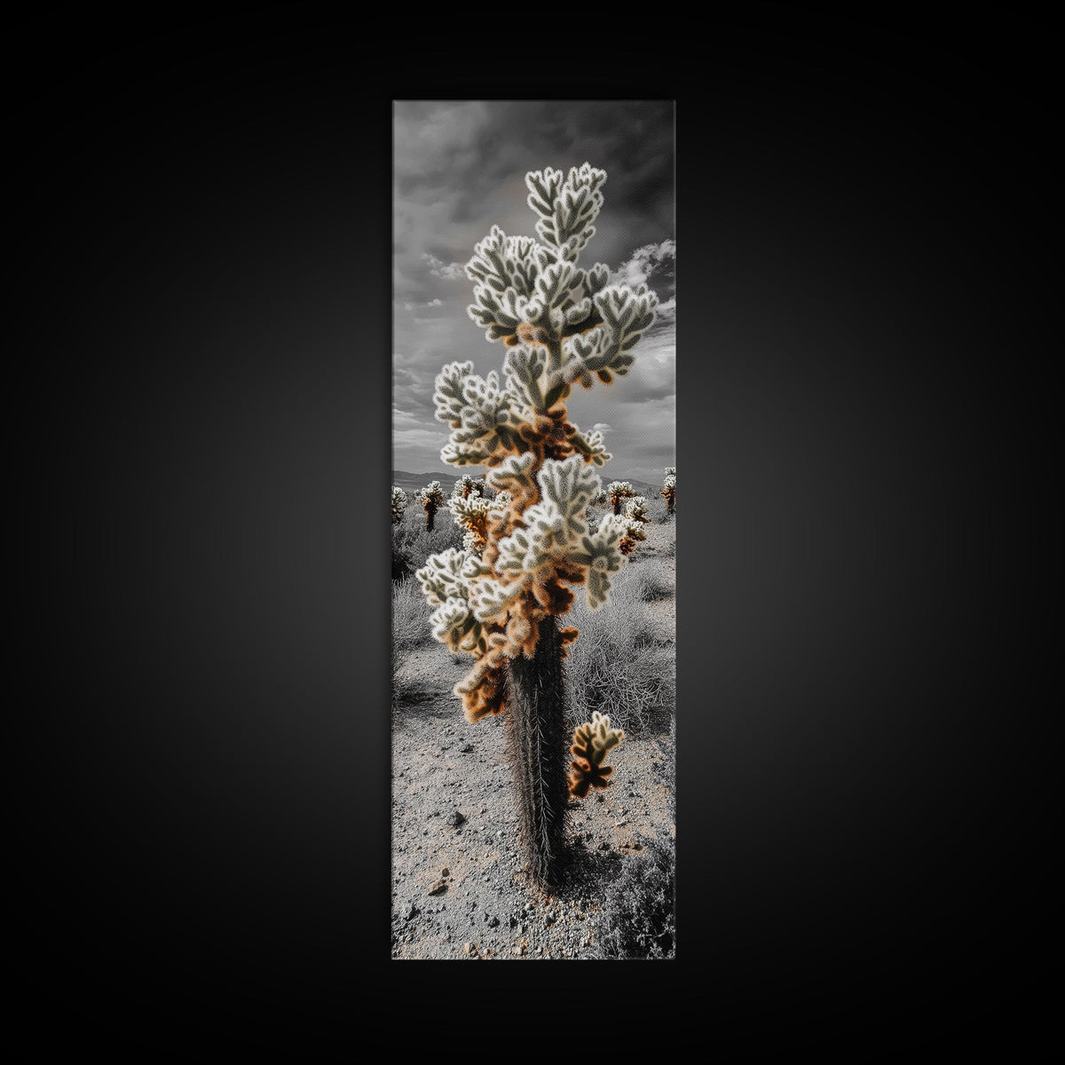 Cholla Cactus Desert, Southwestern Nature Scene, Spiky Plant Decor, Framed Canvas Print, Minimalist Boho Art, Sunroom or Entryway Style