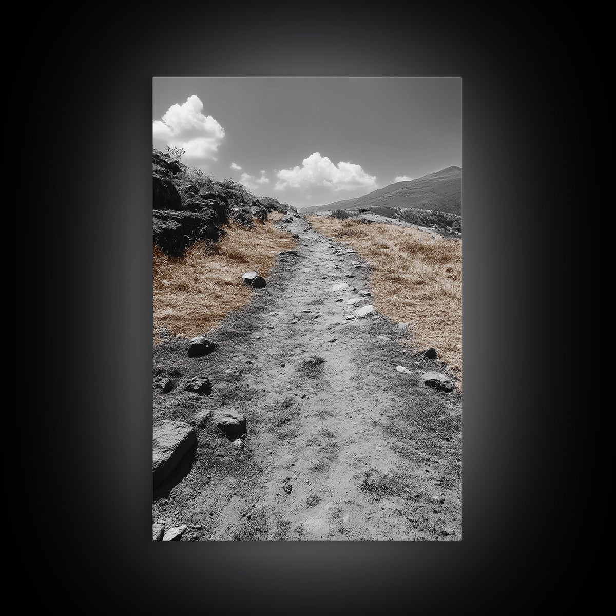 Desert Path, Solitude Trail, Nature Adventure, Canvas Print, Minimalist Landscape Wall Art, Entryway Rustic Decor, Fall Color Tones