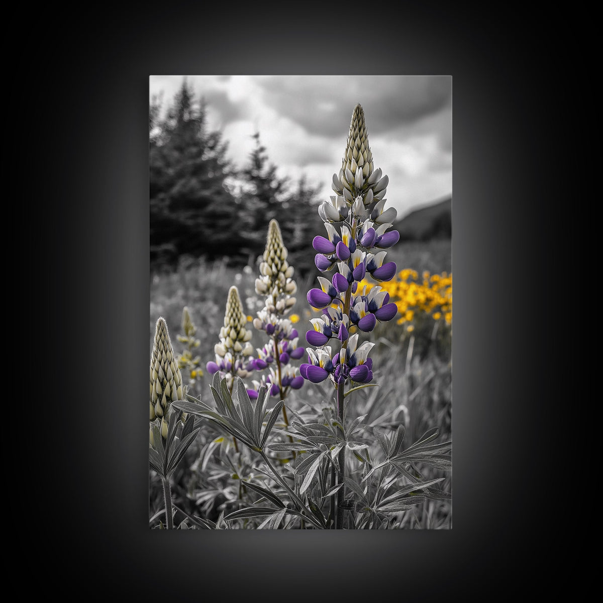 Purple Lupine Flowers, Wildflower Meadow Art, Country Botanical Print, Spring Nature Scene, Framed Canvas Print, Cottagecore Wall Art