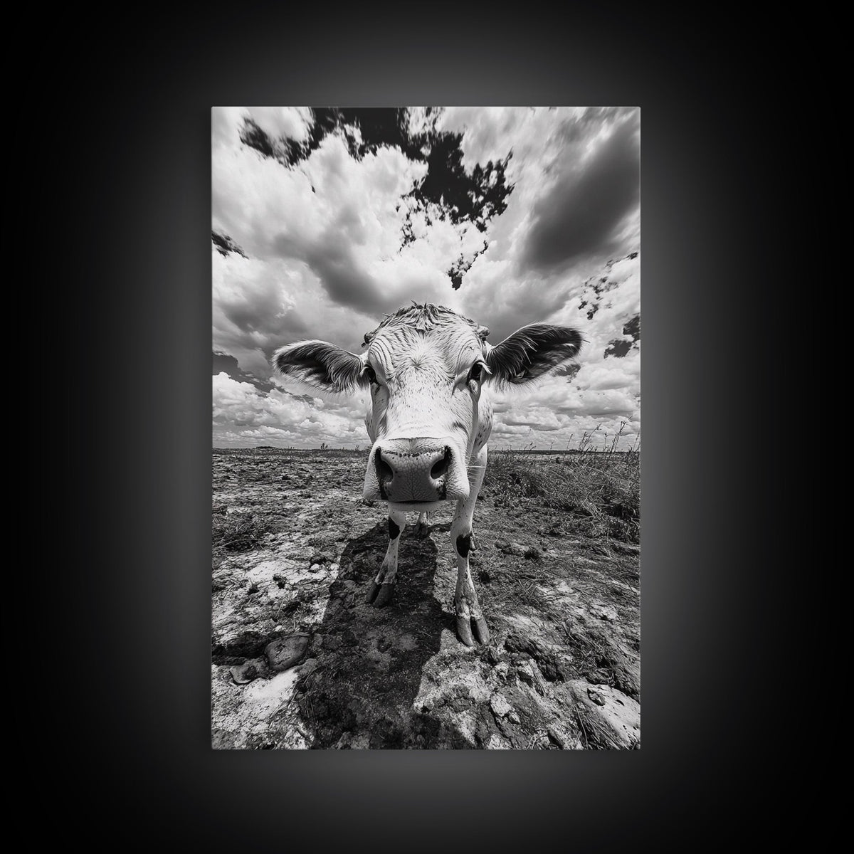 Rustic decor, vintage cow photography, framed canvas print, farmhouse art, black and white wall art, country aesthetic, moody art, southwest wall art