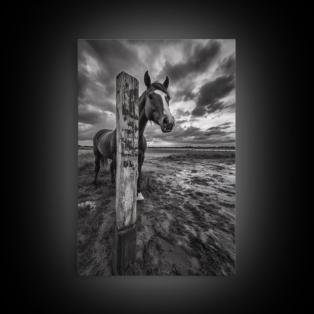 Horse wall art, vintage horse art, rustic decor, black and white photography, moody art, extra wide art, framed canvas print, farmhouse art