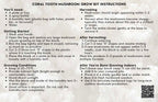 Coral Tooth Mushroom Grow Kit