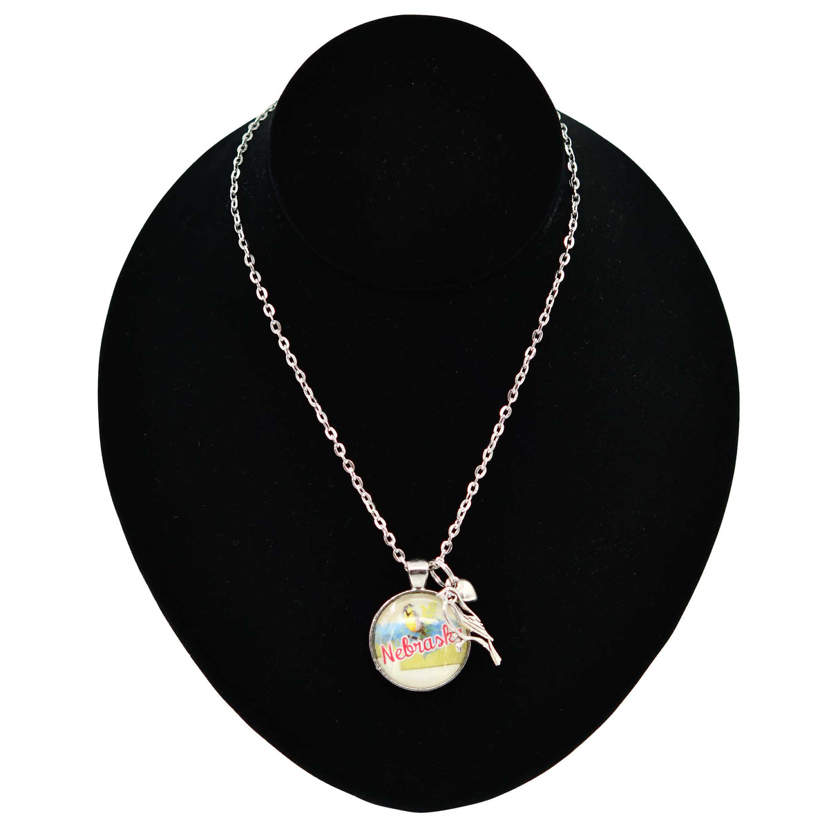Nebraska State Charm Necklace With Meadowlark Bird Design | Multiple Colors | Silver Chain | 24" Chain and 1" Charm | Create