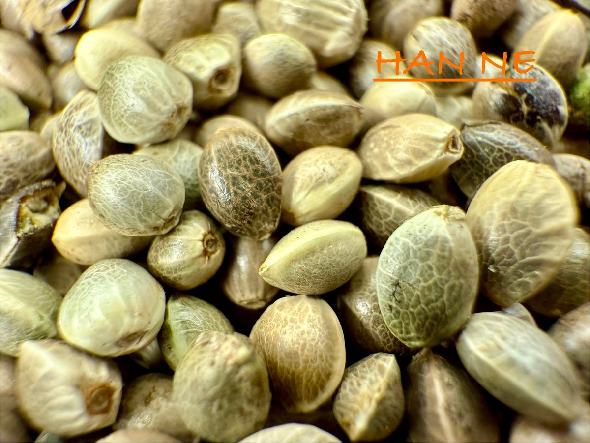 Ripkitty International & Domestic Raw Viable Hemp Seeds for Poultry, Equine Feeding, & Livestock
