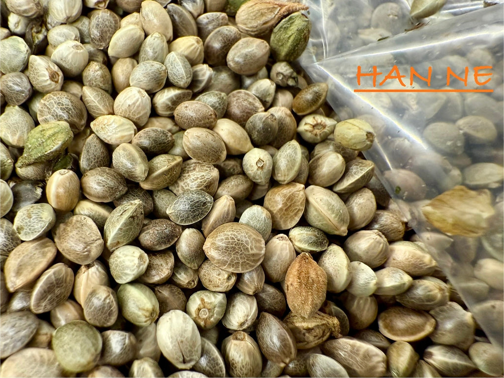 Ripkitty International & Domestic Raw Viable Hemp Seeds for Poultry, Equine Feeding, & Livestock