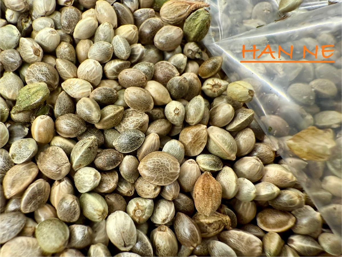 Ripkitty International & Domestic Raw Viable Hemp Seeds for Poultry, Equine Feeding, & Livestock