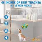 Beef Trachea Dog Treats - 12 Inch, 4 Pack
