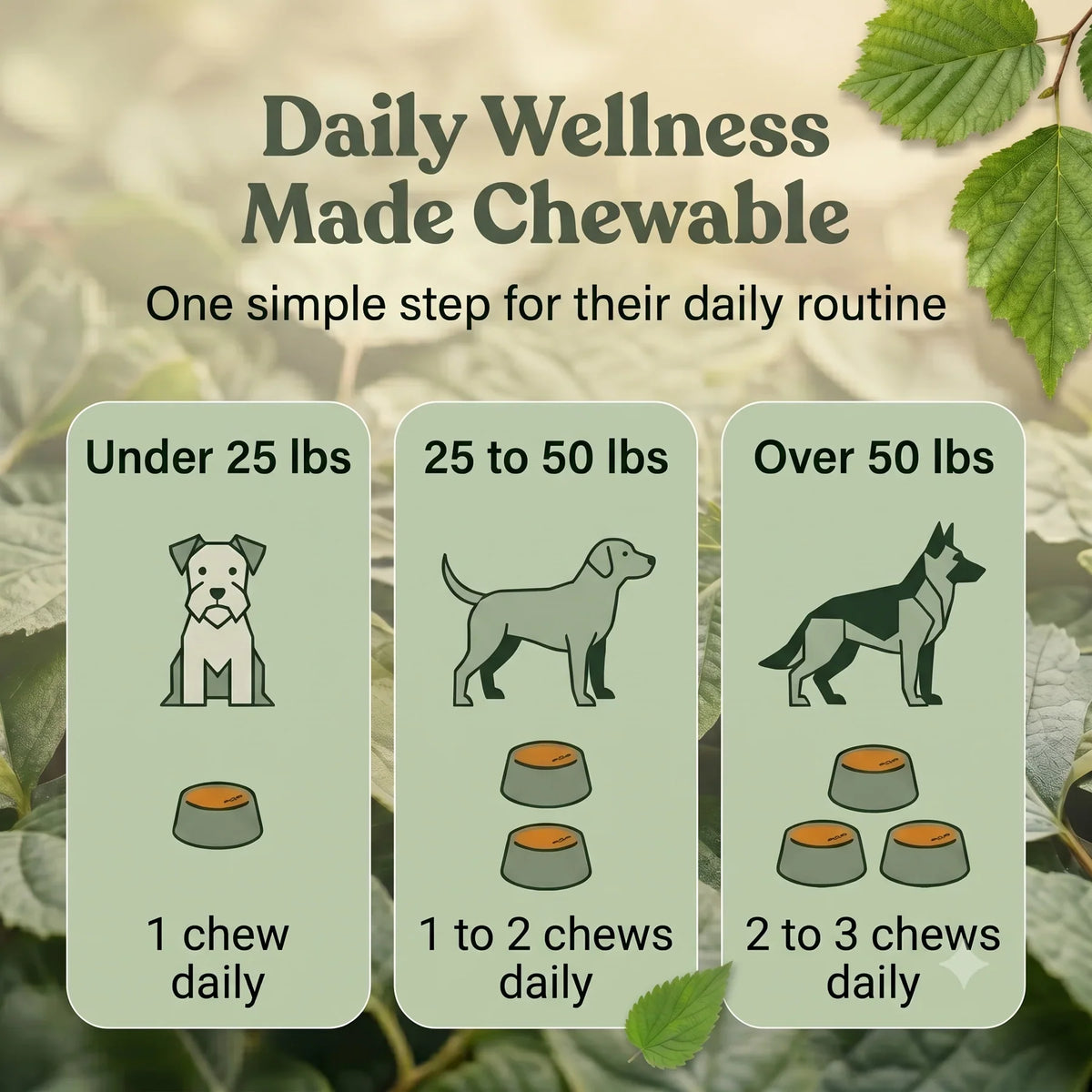 Skin & Coat Support Soft Chews for Dogs | Pack of 3 | 60 Chews - 6.35 oz | LivHerbals, Inc.
