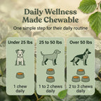 Healthy Skin Soft Chew Bundle | Allergy & Skin and Coat | LivHerbals, Inc.